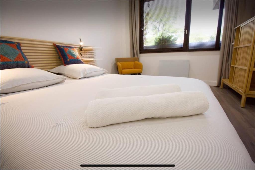 Superbe Appartement En Plein Coeur De Metz. Exteriér fotografie
